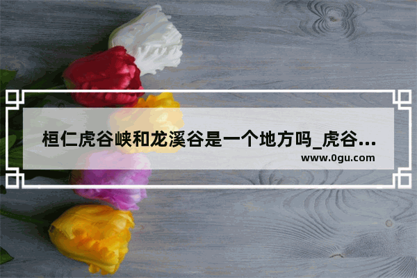 桓仁虎谷峡和龙溪谷是一个地方吗_虎谷峡朋友圈文案