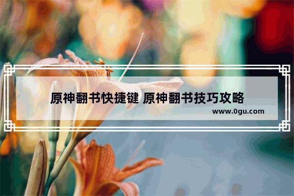原神翻书快捷键 原神翻书技巧攻略