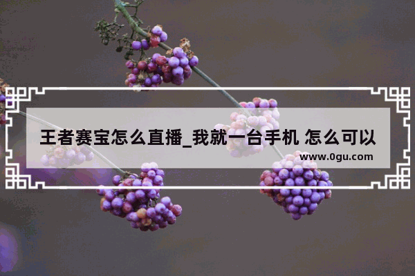 王者赛宝怎么直播_我就一台手机 怎么可以直播王者荣耀