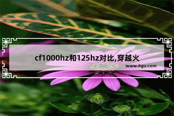 cf1000hz和125hz对比,穿越火线125hz