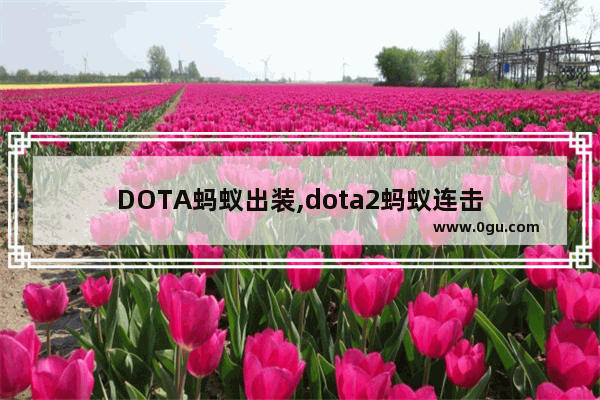 DOTA蚂蚁出装,dota2蚂蚁连击