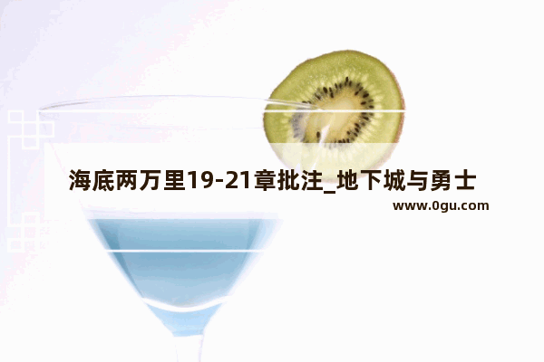 海底两万里19-21章批注_地下城与勇士奇怪的度洛西