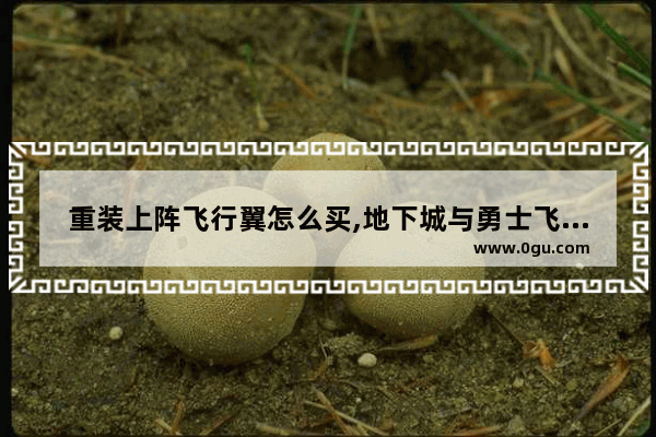 重装上阵飞行翼怎么买,地下城与勇士飞行道具选择