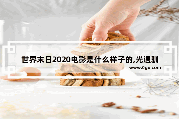 世界末日2020电影是什么样子的,光遇驯龙2020