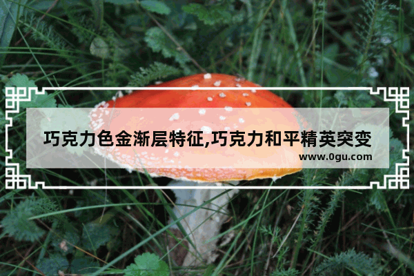 巧克力色金渐层特征,巧克力和平精英突变