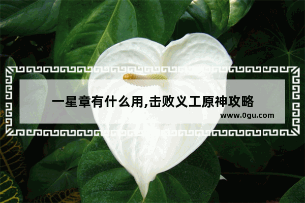 一星章有什么用,击败义工原神攻略