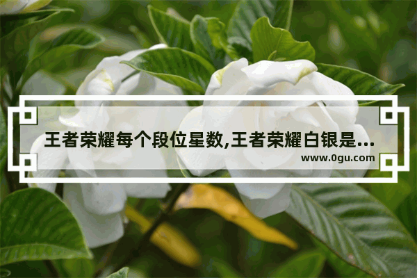 王者荣耀每个段位星数,王者荣耀白银是几颗星