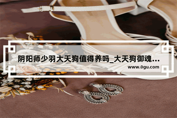 阴阳师少羽大天狗值得养吗_大天狗御魂搭配