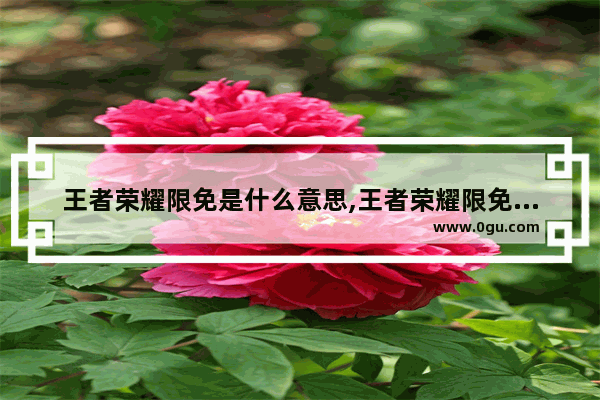 王者荣耀限免是什么意思,王者荣耀限免什么意思
