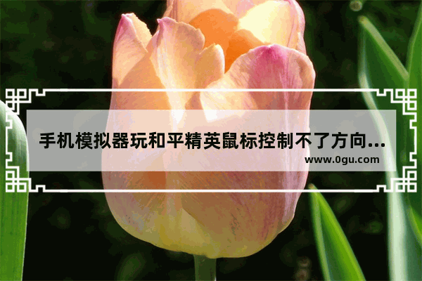 手机模拟器玩和平精英鼠标控制不了方向 和平精英和平精英胡