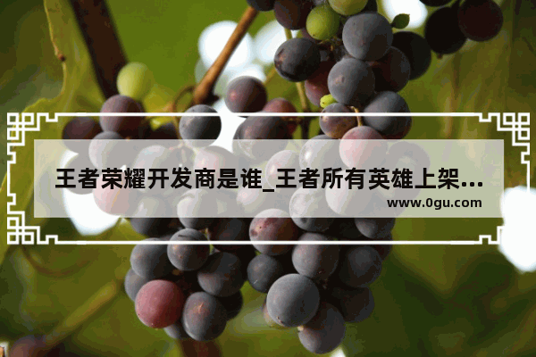 王者荣耀开发商是谁_王者所有英雄上架时间