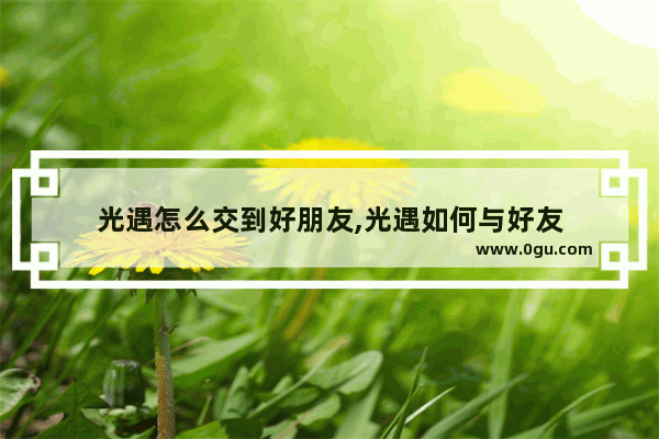 光遇怎么交到好朋友,光遇如何与好友