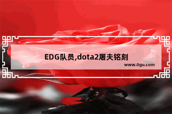 EDG队员,dota2屠夫铭刻
