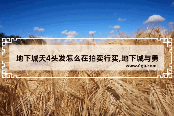 地下城天4头发怎么在拍卖行买,地下城与勇士天二多少钱
