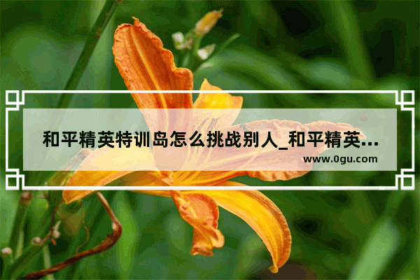 和平精英特训岛怎么挑战别人_和平精英亚洲竞赛模式什么时候上线