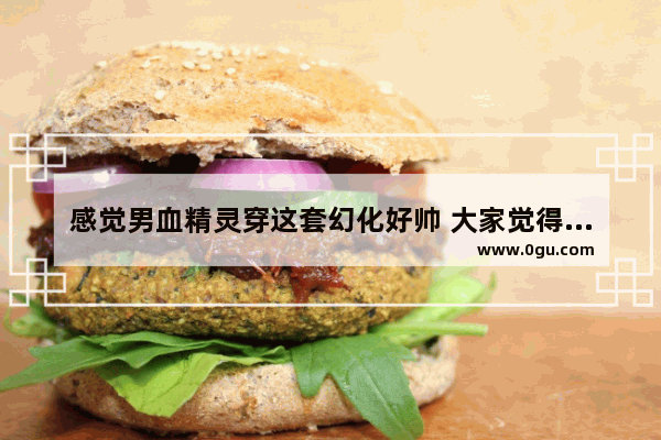 感觉男血精灵穿这套幻化好帅 大家觉得还可以吗_求一个女血精灵盗贼幻化好看的