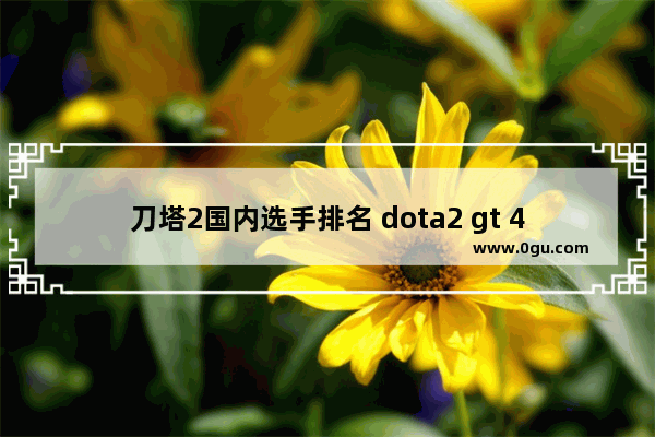 刀塔2国内选手排名 dota2 gt 430