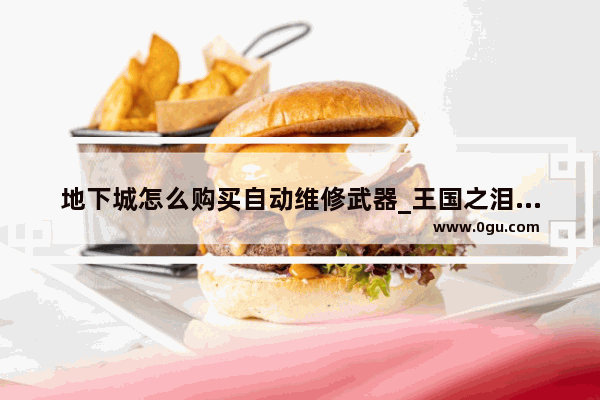 地下城怎么购买自动维修武器_王国之泪英杰武器怎么修复