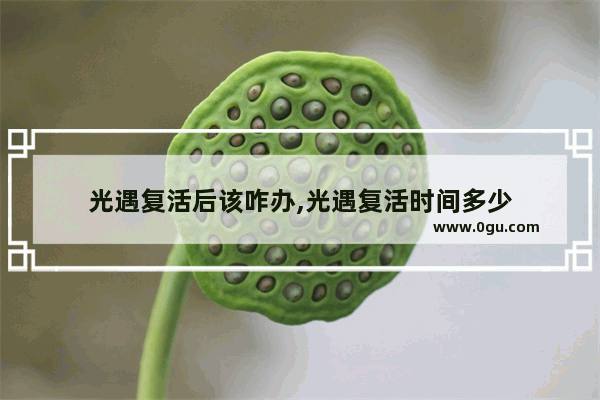 光遇复活后该咋办,光遇复活时间多少