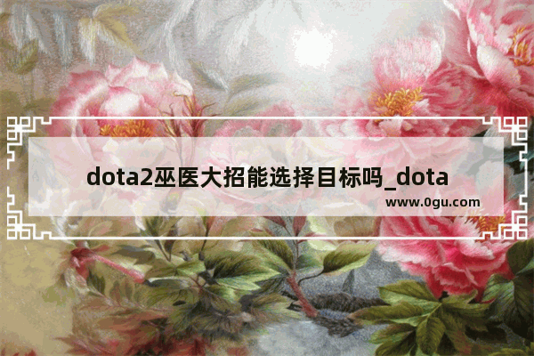 dota2巫医大招能选择目标吗_dota2契 名单
