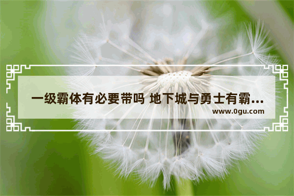一级霸体有必要带吗 地下城与勇士有霸体的装备