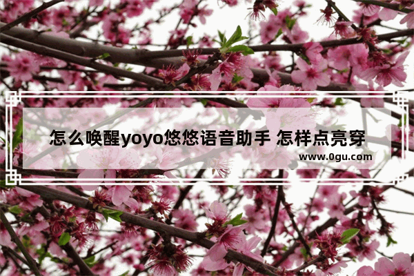 怎么唤醒yoyo悠悠语音助手 怎样点亮穿越火线云悠悠