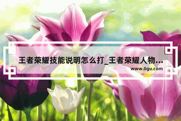 王者荣耀技能说明怎么打_王者荣耀人物框说明