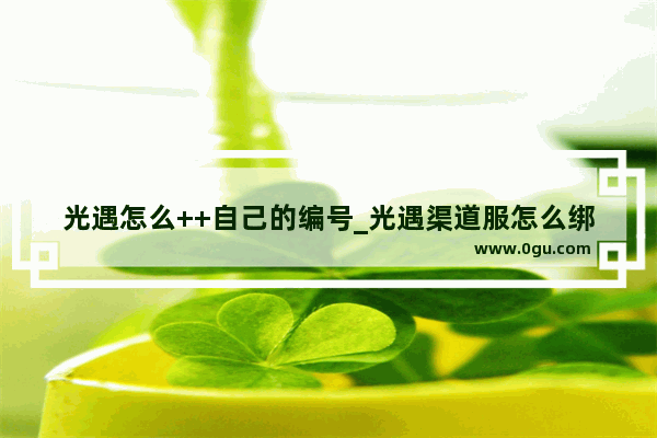 光遇怎么++自己的编号_光遇渠道服怎么绑蛋仔