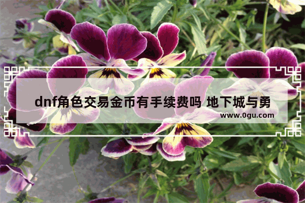 dnf角色交易金币有手续费吗 地下城与勇士一年费用