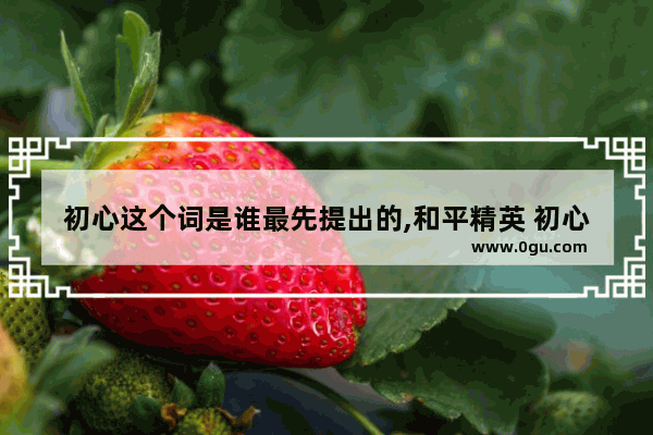 初心这个词是谁最先提出的,和平精英 初心进阶精英