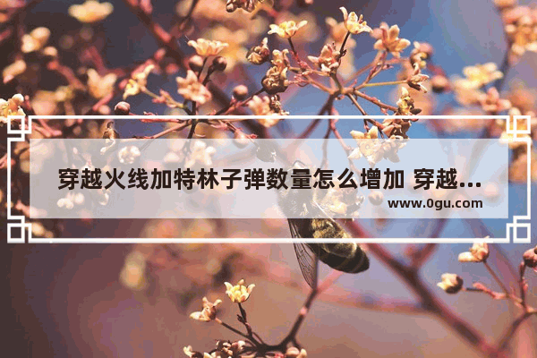 穿越火线加特林子弹数量怎么增加 穿越火线英雄加特林