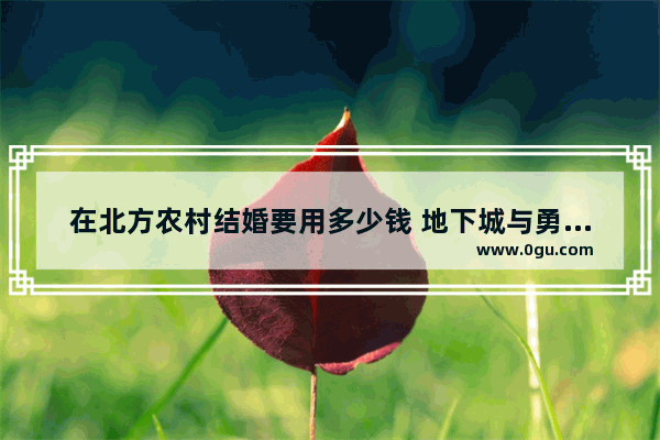 在北方农村结婚要用多少钱 地下城与勇士结婚礼物价格