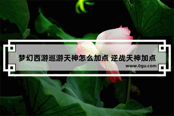 梦幻西游巡游天神怎么加点 逆战天神加点