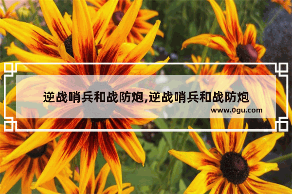 逆战哨兵和战防炮,逆战哨兵和战防炮