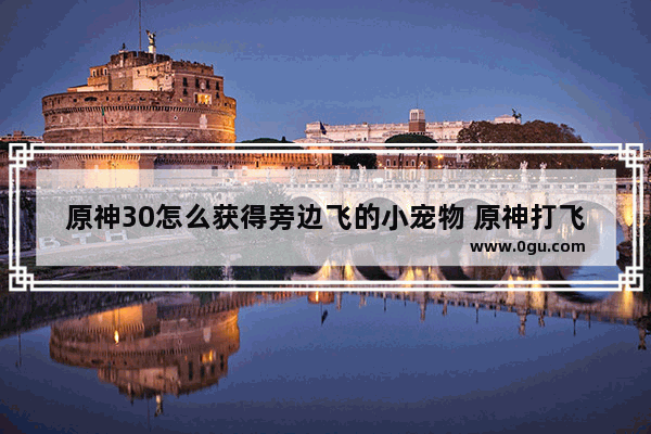 原神30怎么获得旁边飞的小宠物 原神打飞龙攻略