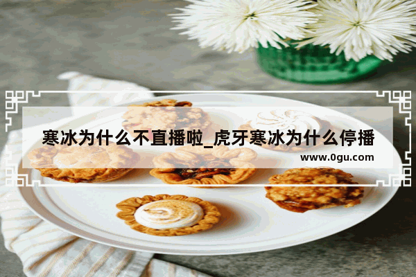 寒冰为什么不直播啦_虎牙寒冰为什么停播