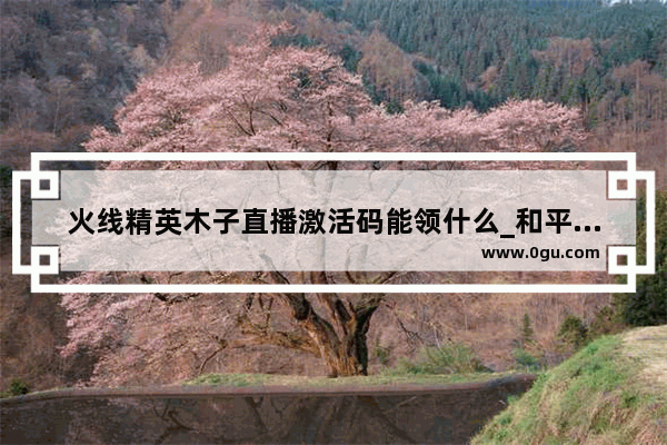 火线精英木子直播激活码能领什么_和平精英木子.
