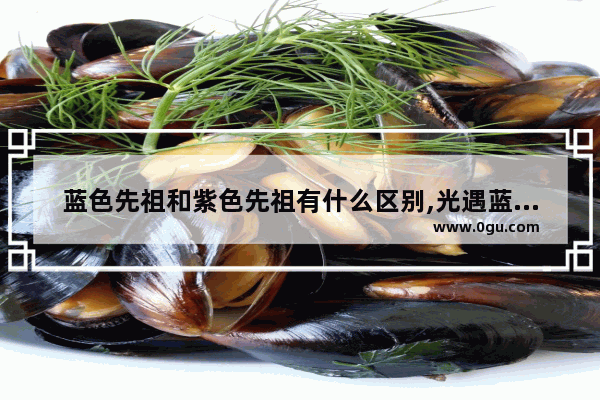 蓝色先祖和紫色先祖有什么区别,光遇蓝色斗篷先
