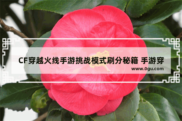 CF穿越火线手游挑战模式刷分秘籍 手游穿越火线攻略秘籍