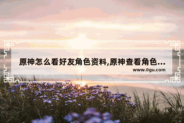 原神怎么看好友角色资料,原神查看角色攻略