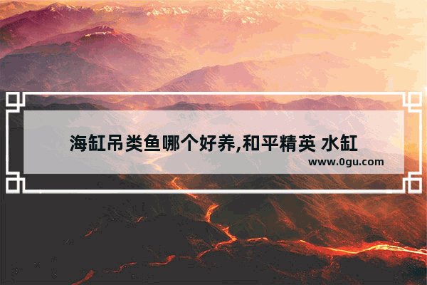 海缸吊类鱼哪个好养,和平精英 水缸