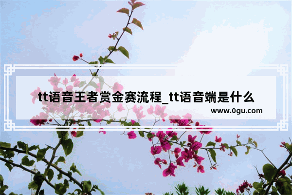 tt语音王者赏金赛流程_tt语音端是什么