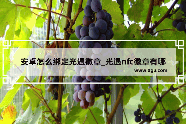 安卓怎么绑定光遇徽章_光遇nfc徽章有哪些