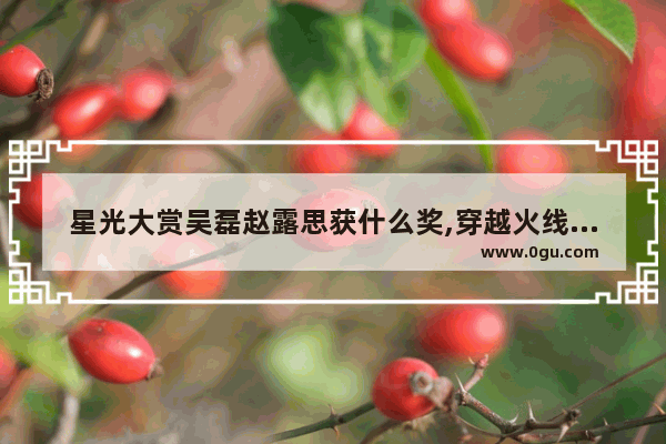 星光大赏吴磊赵露思获什么奖,穿越火线吴磊赵露思