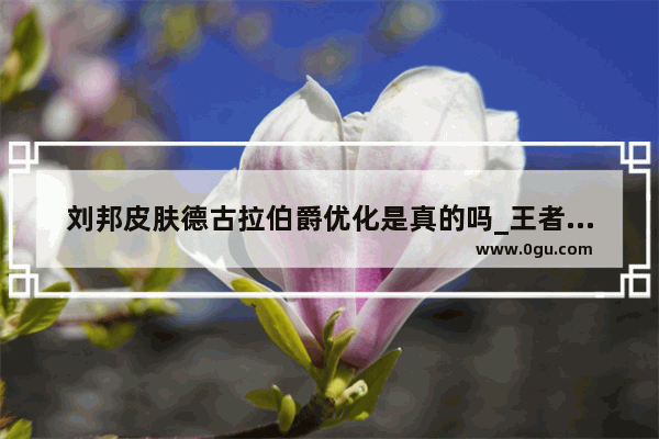 刘邦皮肤德古拉伯爵优化是真的吗_王者视频怎么像这样把英雄p上去 不能有原海报的背景只把英雄p上去