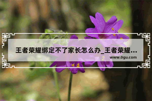 王者荣耀绑定不了家长怎么办_王者荣耀家长模式咋关闭
