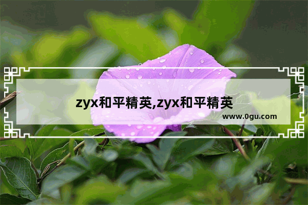 zyx和平精英,zyx和平精英