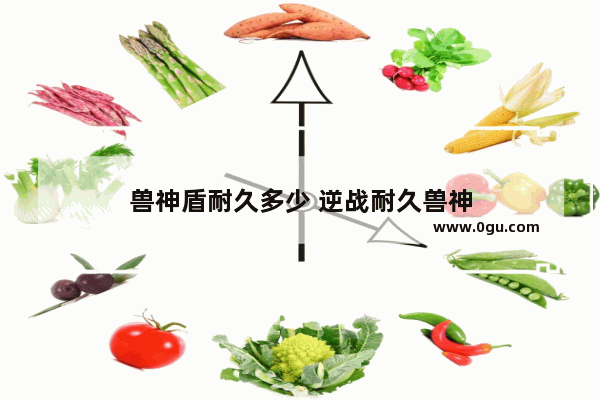 兽神盾耐久多少 逆战耐久兽神