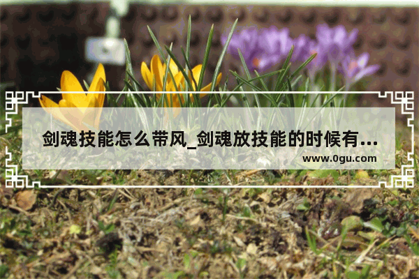 剑魂技能怎么带风_剑魂放技能的时候有吼声吗