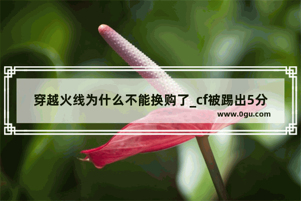 穿越火线为什么不能换购了_cf被踢出5分钟是什么情况